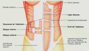 Lire la suite à propos de l’article Le « centre », au cœur du Pilates