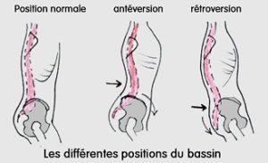 Lire la suite à propos de l’article La position neutre, la base du Pilates