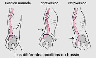 You are currently viewing La position neutre, la base du Pilates